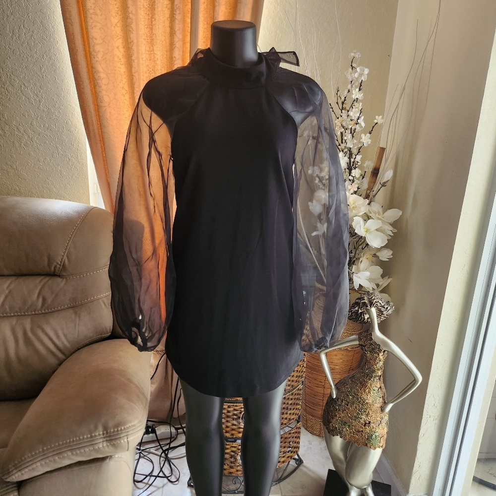 Zara Dress Sheer Puff Long Sleeves Bow Tie Size M - Picture 3 of 6